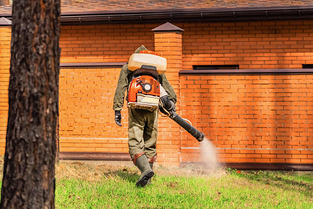 Bed Bug Clearance Verification and Documentation in Paul